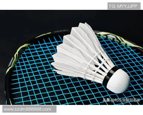 武汉羽毛球队防守策略揭秘：深度解析羽毛球技术与战术的完美结合